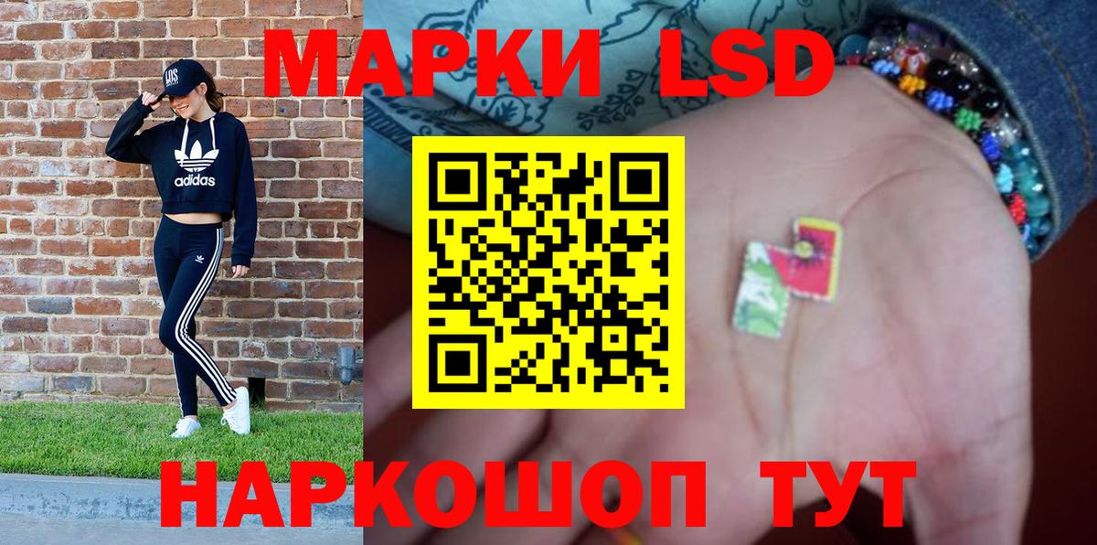 МЕФ Моздок