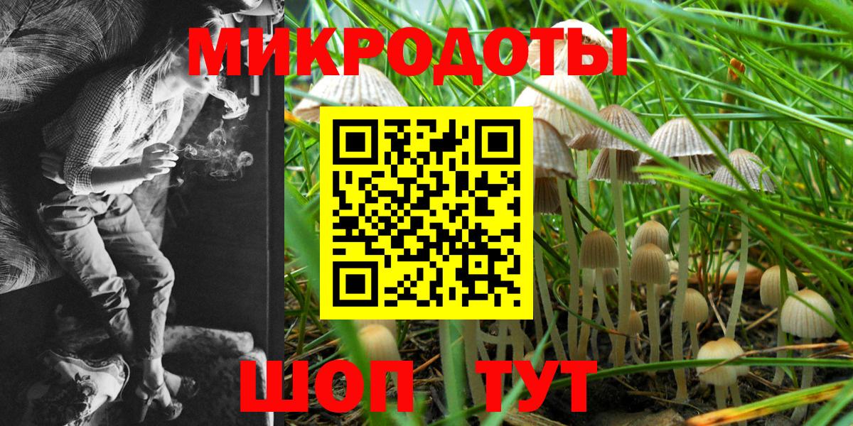 Моздок  Псилоцибиновые грибы Psilocybine cubensis  Вход с VPN 